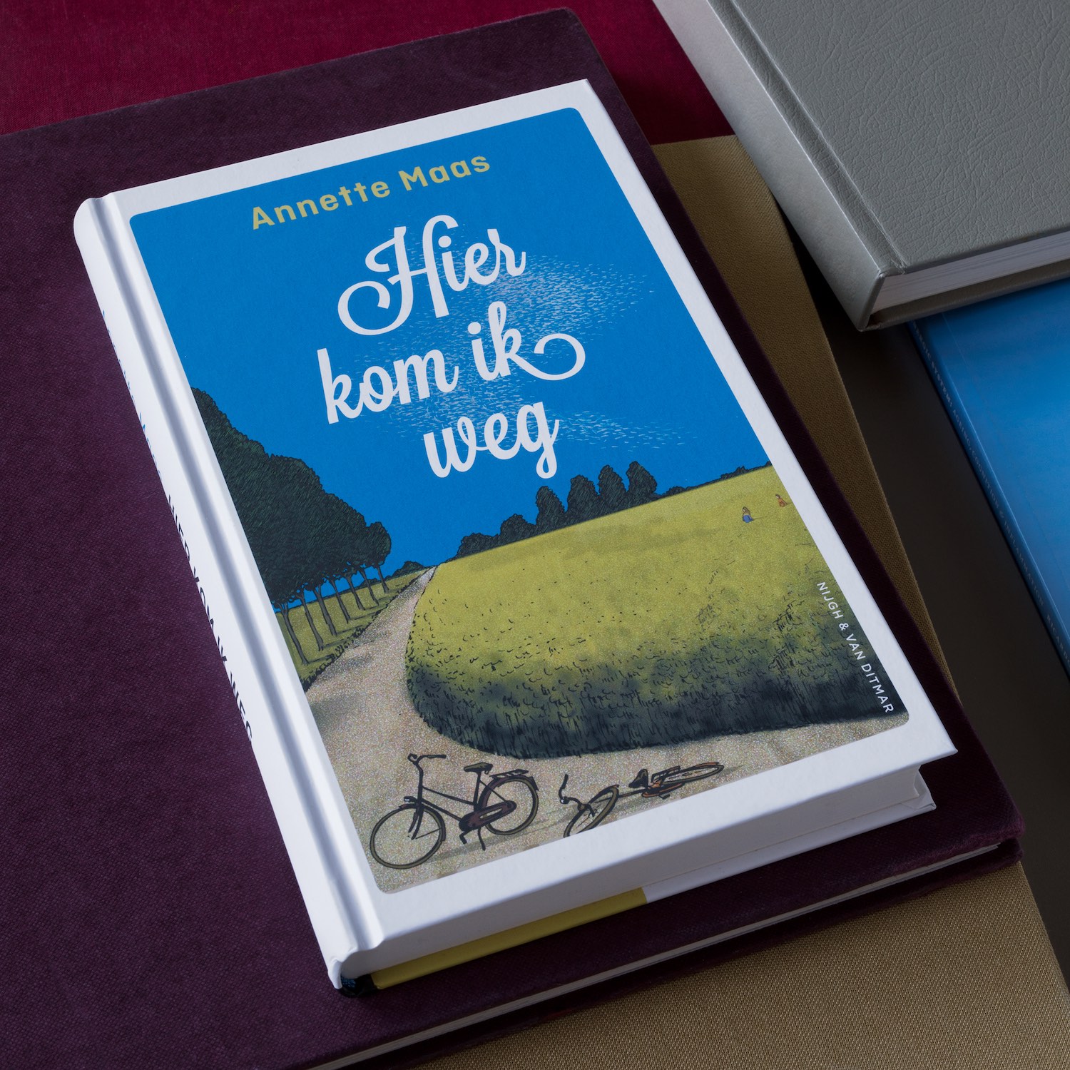 Illustratie Studio Paul De Bie, Groningen