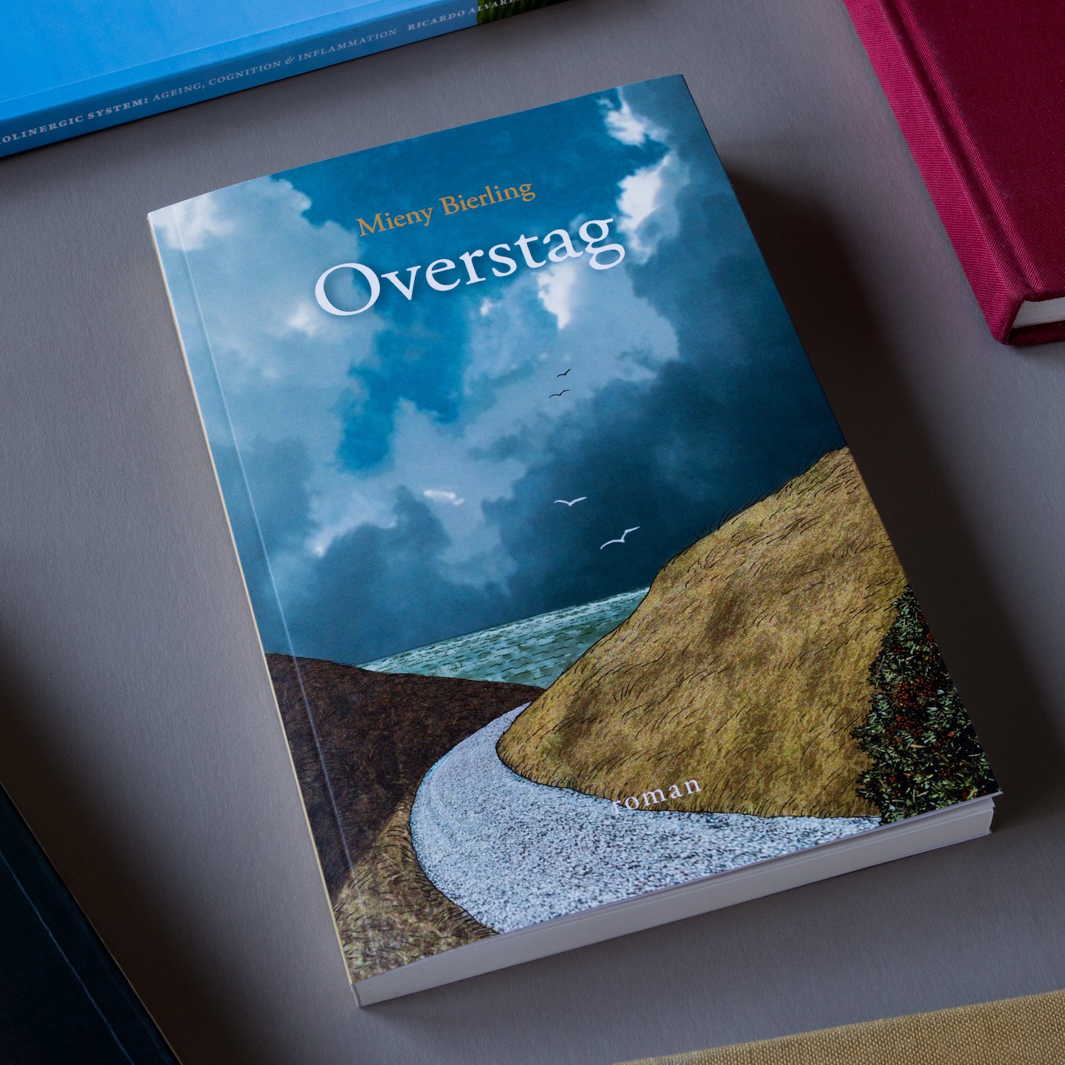 Illustratie Studio Paul De Bie, Groningen