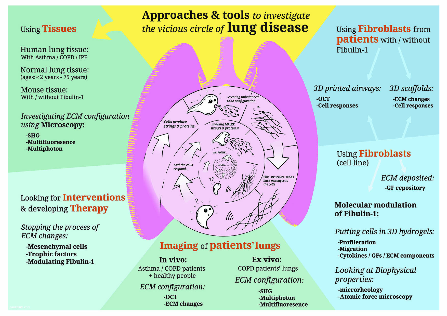 Illustratie Studio Paul De Bie, Groningen
